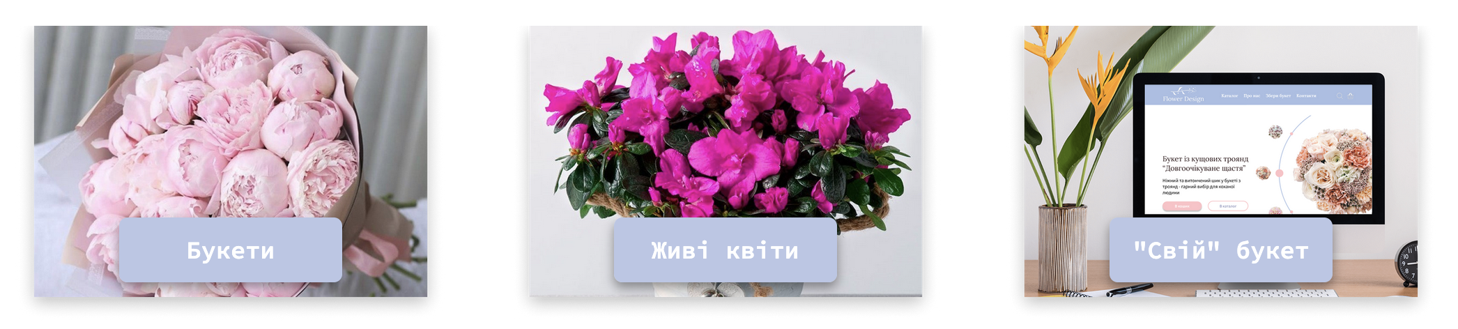 Кнопка в категоріях та заголовок каталогу