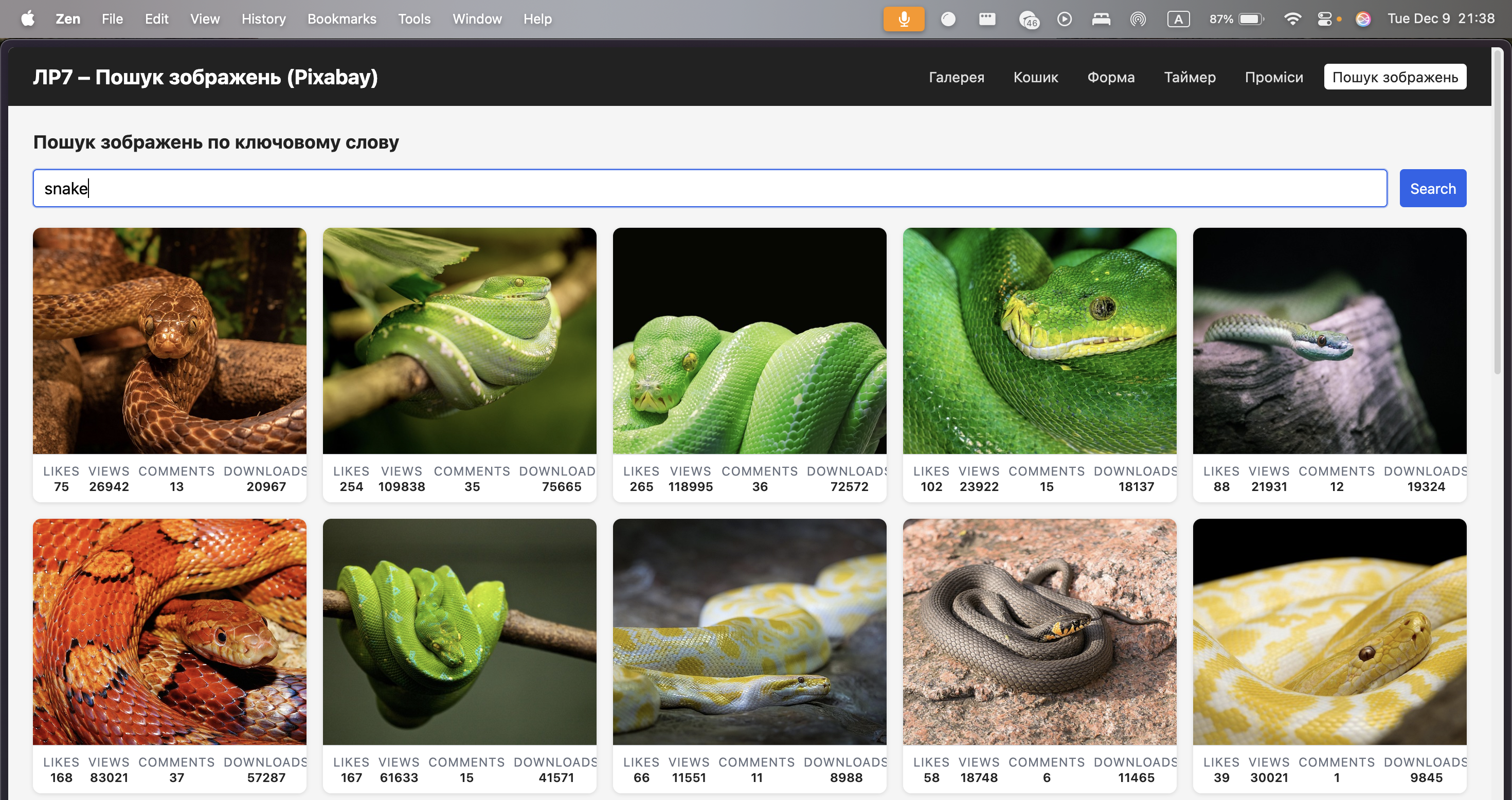 Сторінка пошуку зображень з полем введення, результатами та статистикою