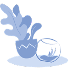 Наявність кімнатних рослин